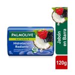 Cuidado-Personal-Jabones_Palmolive_Pasteur_063990_barra_01