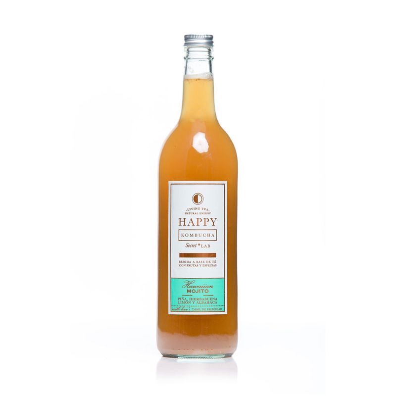 Cuerpo-Sano-Cacao-y-chocolates_Happy-Kombucha_Pasteur_1001001_frasco-de-vidrio_01