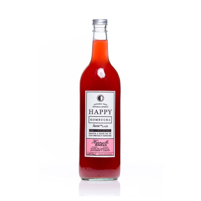 Cuerpo-Sano-Cacao-y-chocolates_Happy-Kombucha_Pasteur_1001002_frasco-de-vidrio_01