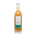 Cuerpo-Sano-Bebidas-Funcionales_Happy-Kombucha_Pasteur_1001003_frasco-de-vidrio_01