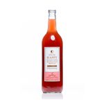 Cuerpo-Sano-Cacao-y-chocolates_Happy-Kombucha_Pasteur_1001004_frasco-de-vidrio_01