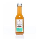 Cuerpo-Sano-Cacao-y-chocolates_Happy-Kombucha_Pasteur_1001005_frasco-de-vidrio_01
