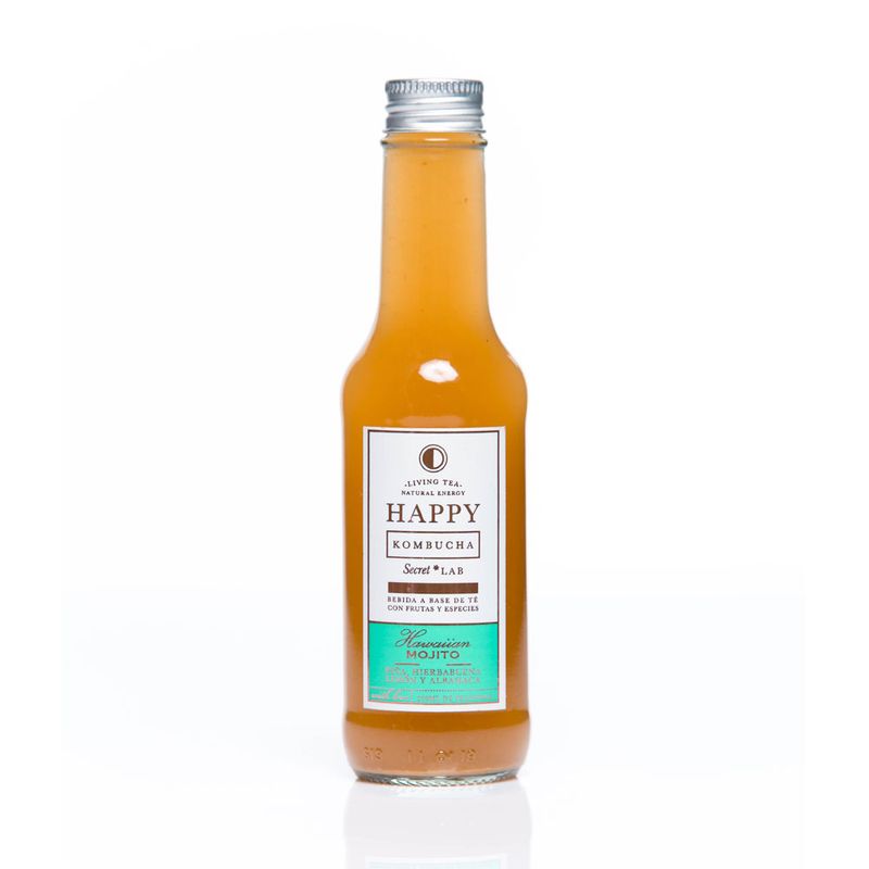 Cuerpo-Sano-Cacao-y-chocolates_Happy-Kombucha_Pasteur_1001005_frasco-de-vidrio_01