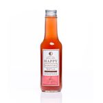 Cuerpo-Sano-Cacao-y-chocolates_Happy-Kombucha_Pasteur_1001008_frasco-de-vidrio_01
