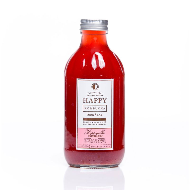 Cuerpo-Sano-Cacao-y-chocolates_Happy-Kombucha_Pasteur_1001009_botella_01