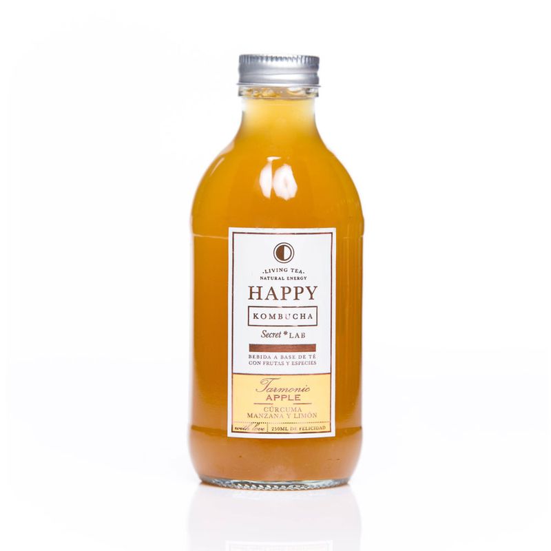 Cuerpo-Sano-Cacao-y-chocolates_Happy-Kombucha_Pasteur_1001010_botella_01