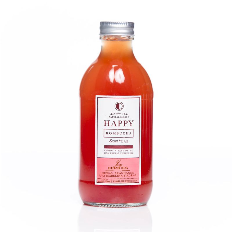 Cuerpo-Sano-Cacao-y-chocolates_Happy-Kombucha_Pasteur_1001011_botella_01