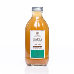 HAPPY KOMBUCHA SOUR GINGER BOTELLA 250 ML