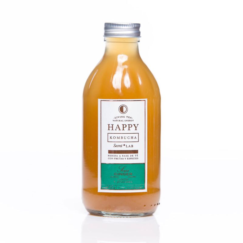 Cuerpo-Sano-Cacao-y-chocolates_Happy-Kombucha_Pasteur_1001012_botella_01
