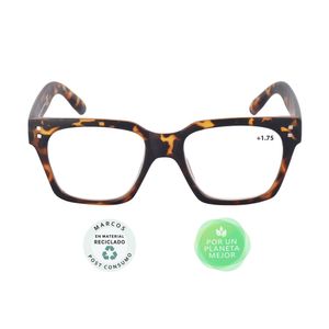 GAFAS DE LECTURA ZOOM STYLE 175 X 1 UND