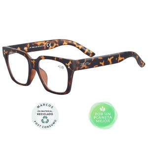 GAFAS DE LECTURA ZOOM STYLE 175 X 1 UND