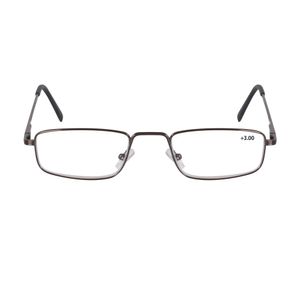 GAFAS DE LECTURA ZOOM METALS 300 X 1 UND
