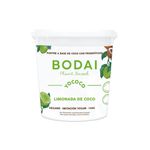 Cuerpo-Sano-Helados-y-yogures_Bodai_Pasteur_1149006_frasco_01