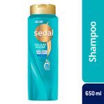 Cuidado-Personal-Shampoo_Sedal_Pasteur_1238034_frasco_01