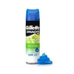 Cuidado-Personal-Afeitada_Gillette_Pasteur_124150_frasco-de-aluminio_01