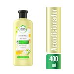 SHAMPOO HERBAL ESSENCES MANUKA HONEY FRASCO 400 ML - Farmacia Pasteur -  Medicamentos y cuidado personal