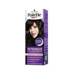 Cuidado-Personal-Tintes-y-decolorantes-para-cabell_Palette_Pasteur_299625_caja_01