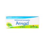 Salud-y-Medicamentos-Medicamentos-formulados_Arnigel_Pasteur_387020_caja_01