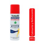 Salud-y-Medicamentos-Dolor-muscular-articular-y-oseo_Cosmenales_Pasteur_492054_frasco-de-aluminio_0