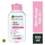 Cuidado-Personal-Limpieza-y-Desmaquillantes_Garnier_Pasteur_504486_frasco_01