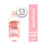 Cuidado-Personal-Limpieza-y-Desmaquillantes_Garnier_Pasteur_504511_frasco_01