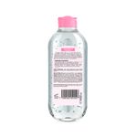 Cuidado-Personal-Limpieza-y-Desmaquillantes_Garnier_Pasteur_509662_frasco_03