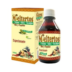 MIELTERTOS JARABE MIEL FRASCO 240 ML