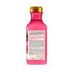 Cuidado-Personal-Acondicionador_Maui_Pasteur_229214_frasco_02