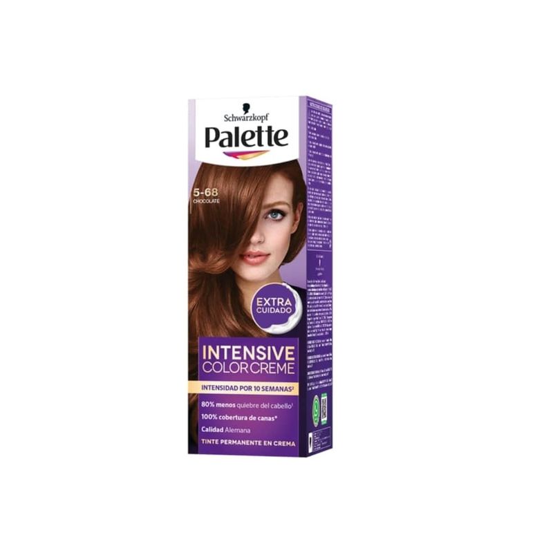 Cuidado-Personal-Tintes-y-decolorantes-para-cabell_Palette_Pasteur_299633_caja_01