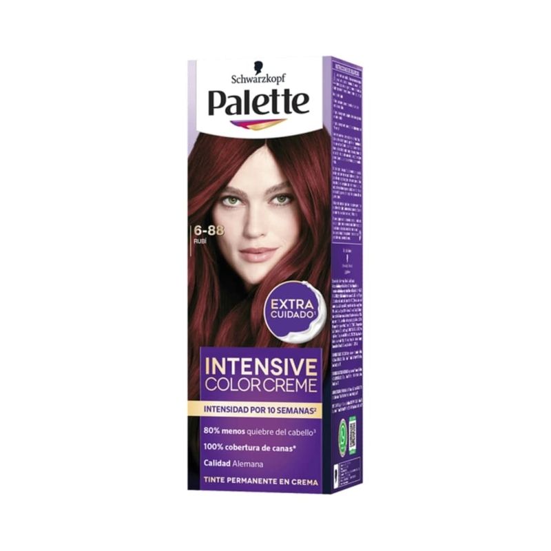 Cuidado-Personal-Tintes-y-decolorantes-para-cabell_Palette_Pasteur_299635_caja_01