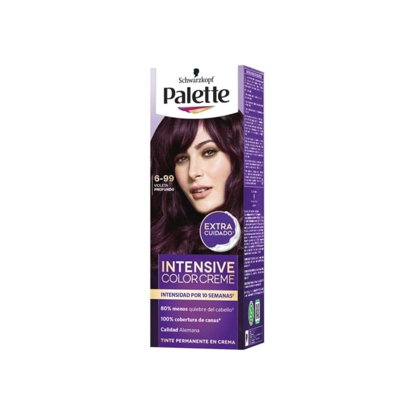 Cuidado-Personal-Tintes-y-decolorantes-para-cabell_Palette_Pasteur_299636_caja_01