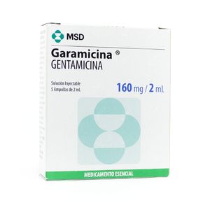 GARAMICINA 2 ML AMPOLLAS 160 MG
