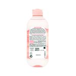 Cuidado-Personal-Limpieza-y-Desmaquillantes_Garnier_Pasteur_504511_frasco_02