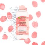 Cuidado-Personal-Limpieza-y-Desmaquillantes_Garnier_Pasteur_504511_frasco_04