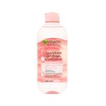 Cuidado-Personal-Limpieza-y-Desmaquillantes_Garnier_Pasteur_504511_frasco_05