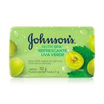Cuidado-Personal_Cuidado-Corporal_Johnsons_Pasteur_165570_bolsa_1.jpg