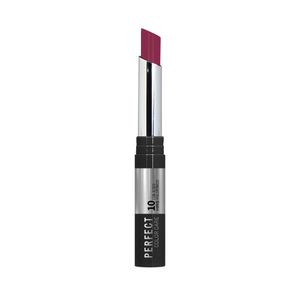 LABIAL LD ANA MARIA PERFECT CARE BORGOÑA BARRA X 1 UND