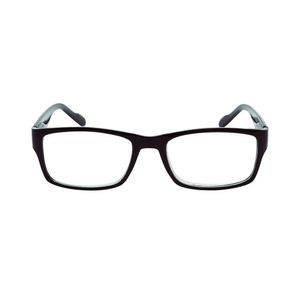 GAFAS DE LECTURA MAGNIVISION DAN 350 X 1 UND