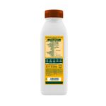 Cuidado-Personal-Acondicionador_Garnier_Pasteur_509959_frasco_02