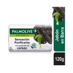 Cuidado-Personal-Jabones_Palmolive_Pasteur_063825_barra_01