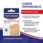 Salud-y-Medicamentos-Curas-y-microporos_Hansaplast_Pasteur_035013_caja_02