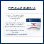 Dermocosmetica-Hidratantes_Eucerin_Pasteur_035015_pote_02