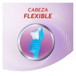Cuidado-Personal-Cepillos_Colgate_Pasteur_063048_unica_02