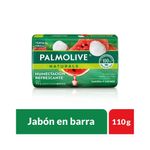 Cuidado-Personal-Jabones_Palmolive_Pasteur_063997_barra_01