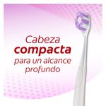 Cuidado-Personal-Cepillos_Colgate_Pasteur_063842_unica_02