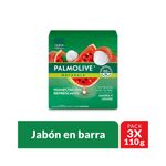 Cuidado-Personal-Jabones_Palmolive_Pasteur_1373004_barra_01
