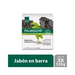 Cuidado-Personal-Jabones_Palmolive_Pasteur_1373005_barra_01