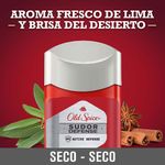 Cuidado-Personal-Desodorante_Old-spice_Pasteur_124951_barra_03