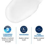 Dermocosmetica-Hidratantes_Cerave_Pasteur_1272010_tubo_04