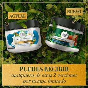 TRATAMIENTO HERBAL ESSENCES  ACEITE DE ARGÁN & ALOE POTE 300 ML
